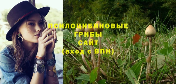 а пвп мука Бородино