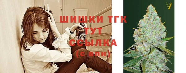 стаф Бугульма