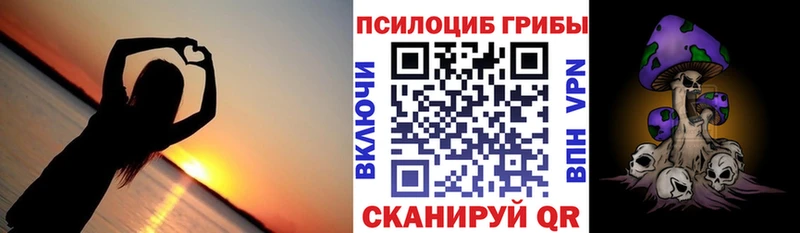 Псилоцибиновые грибы Psilocybe  Купить  Коммунар 